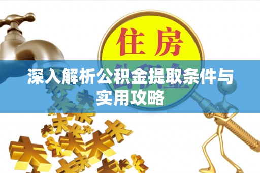 林园深入解析公积金提取条件与实用攻略