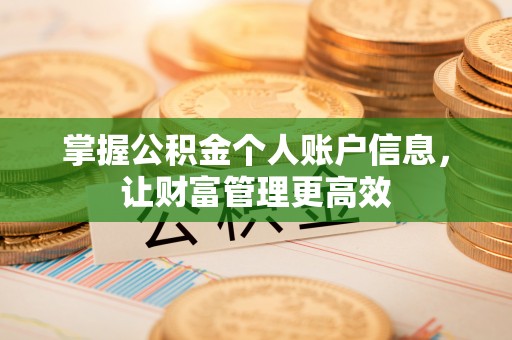林园掌握公积金个人账户信息，让财富管理更高效