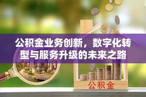 林园公积金业务创新，数字化转型与服务升级的未来之路