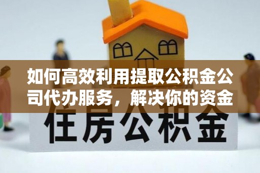 林园如何高效利用提取公积金公司代办服务，解决你的资金难题