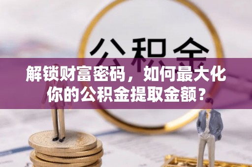 林园解锁财富密码，如何最大化你的公积金提取金额？