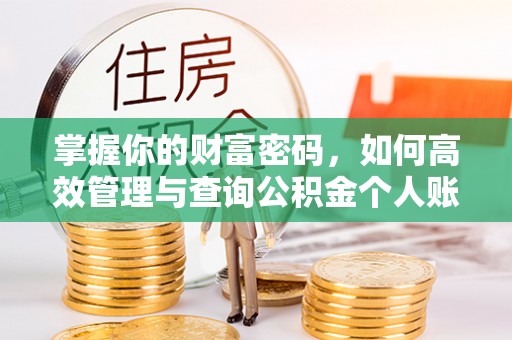 林园掌握你的财富密码，如何高效管理与查询公积金个人账户信息