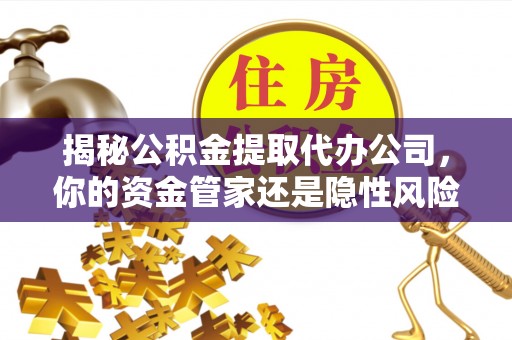 林园揭秘公积金提取代办公司，你的资金管家还是隐性风险？