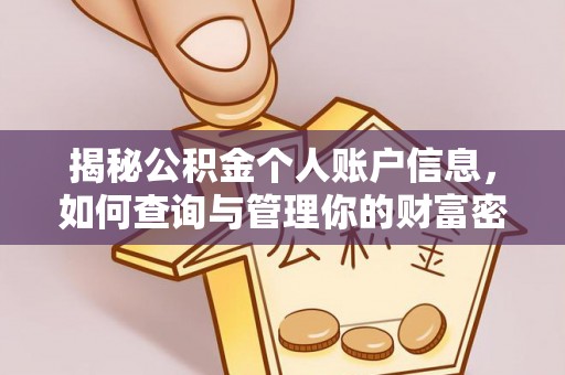 林园揭秘公积金个人账户信息，如何查询与管理你的财富密码
