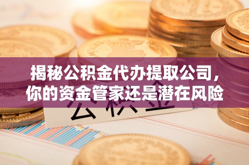 林园揭秘公积金代办提取公司，你的资金管家还是潜在风险？