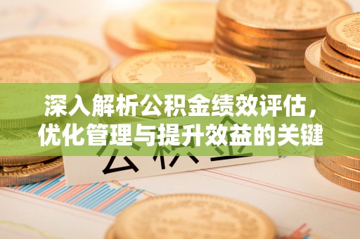 林园深入解析公积金绩效评估，优化管理与提升效益的关键路径