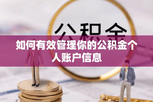 林园如何有效管理你的公积金个人账户信息