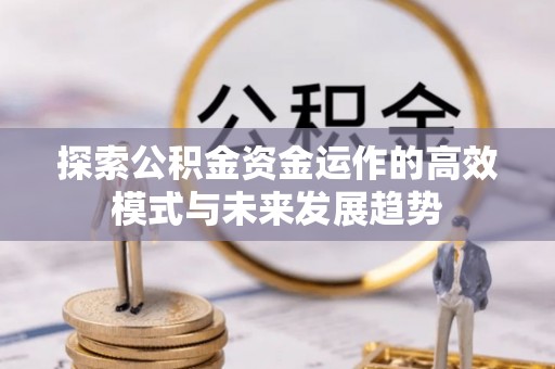 林园探索公积金资金运作的高效模式与未来发展趋势