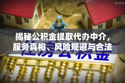 林园揭秘公积金提取代办中介，服务真相、风险规避与合法途径