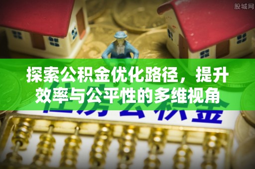 林园探索公积金优化路径，提升效率与公平性的多维视角