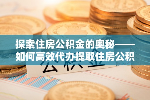 林园探索住房公积金的奥秘——如何高效代办提取住房公积金