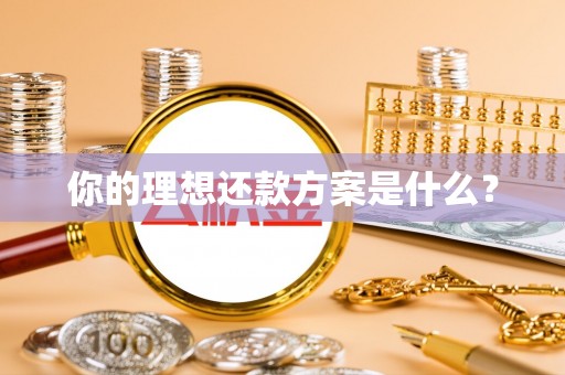 林园你的理想还款方案是什么？