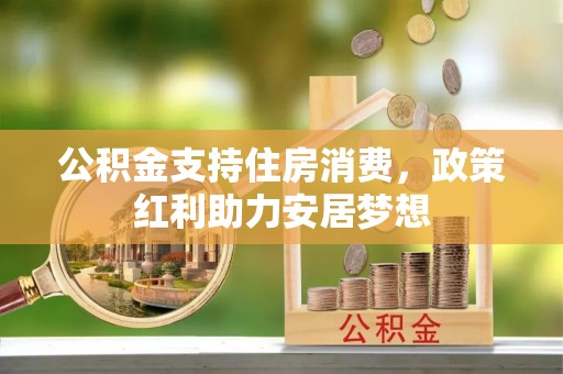林园公积金支持住房消费，政策红利助力安居梦想