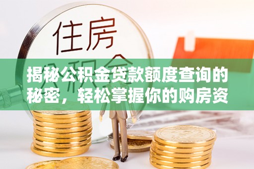 林园揭秘公积金贷款额度查询的秘密，轻松掌握你的购房资金