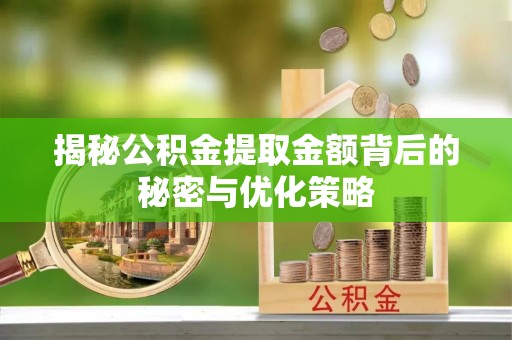 林园揭秘公积金提取金额背后的秘密与优化策略