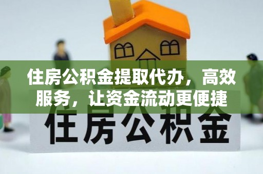 林园住房公积金提取代办，高效服务，让资金流动更便捷