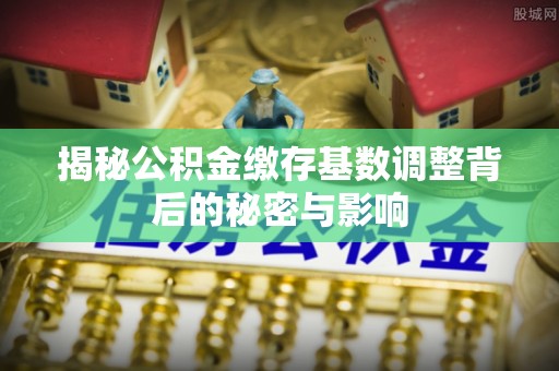 林园揭秘公积金缴存基数调整背后的秘密与影响
