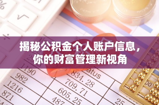 林园揭秘公积金个人账户信息，你的财富管理新视角