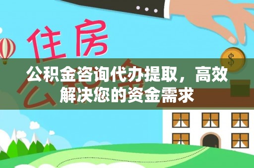 林园公积金咨询代办提取，高效解决您的资金需求