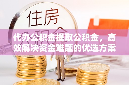 林园代办公积金提取公积金，高效解决资金难题的优选方案