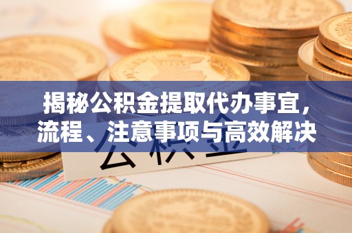 林园揭秘公积金提取代办事宜，流程、注意事项与高效解决方案