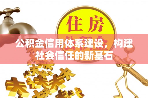 林园公积金信用体系建设，构建社会信任的新基石