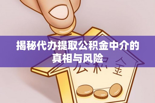 林园揭秘代办提取公积金中介的真相与风险