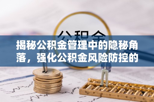 林园揭秘公积金管理中的隐秘角落，强化公积金风险防控的必要性与路径