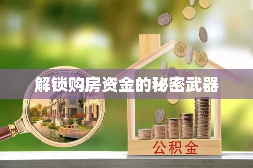 林园解锁购房资金的秘密武器