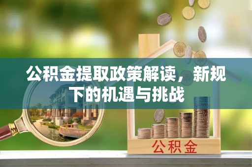 林园公积金提取政策解读，新规下的机遇与挑战