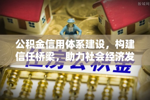 林园公积金信用体系建设，构建信任桥梁，助力社会经济发展