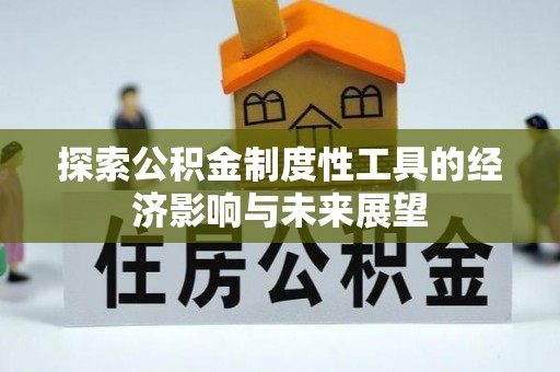 林园探索公积金制度性工具的经济影响与未来展望