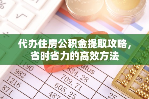 林园代办住房公积金提取攻略，省时省力的高效方法