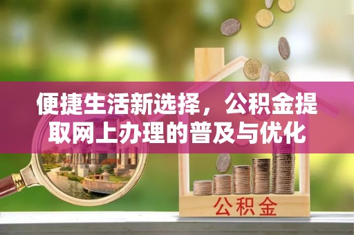林园便捷生活新选择，公积金提取网上办理的普及与优化