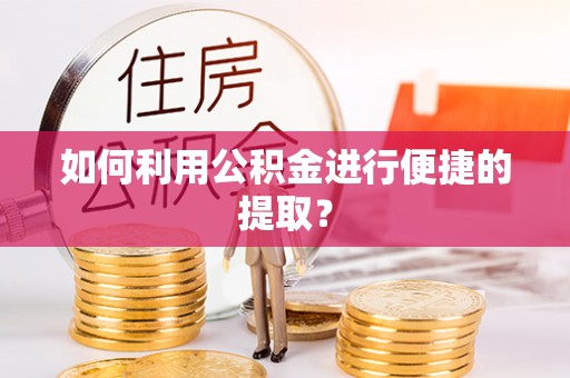 林园如何利用公积金进行便捷的提取？