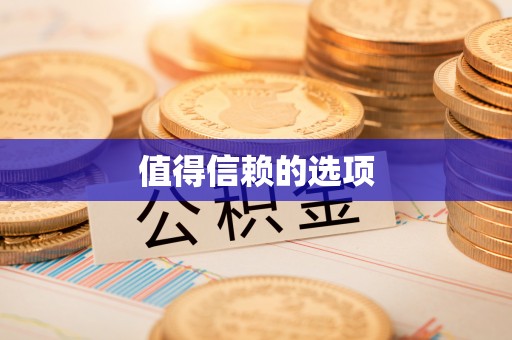 林园值得信赖的选项