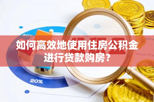 林园如何高效地使用住房公积金进行贷款购房？