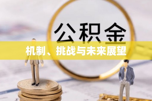 林园机制、挑战与未来展望