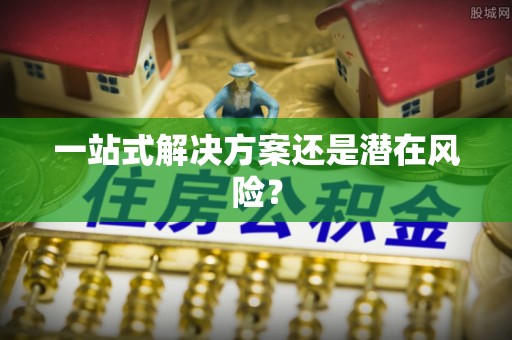 林园一站式解决方案还是潜在风险？