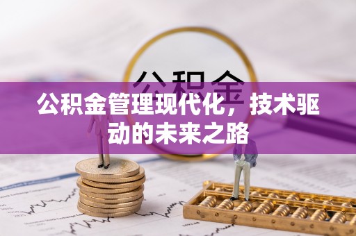 林园公积金管理现代化，技术驱动的未来之路